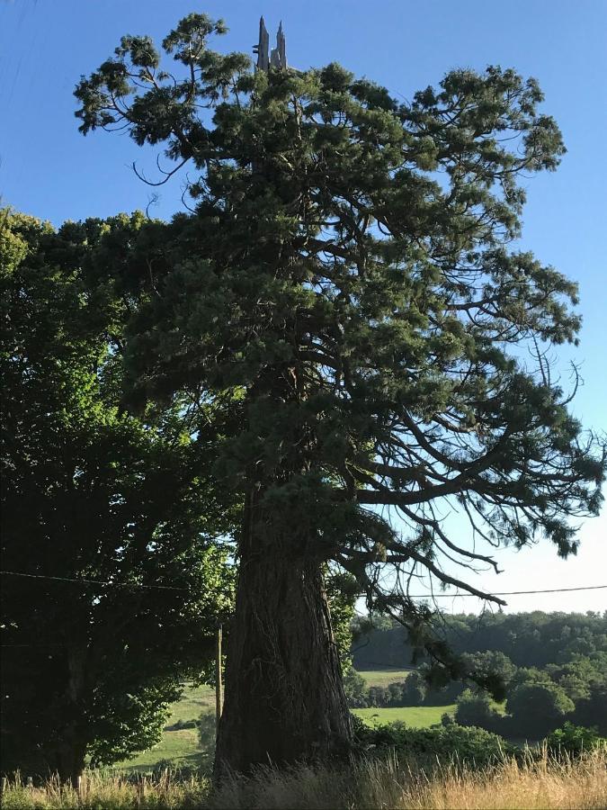 Le Cottage Du Sequoia Chamberet Ngoại thất bức ảnh